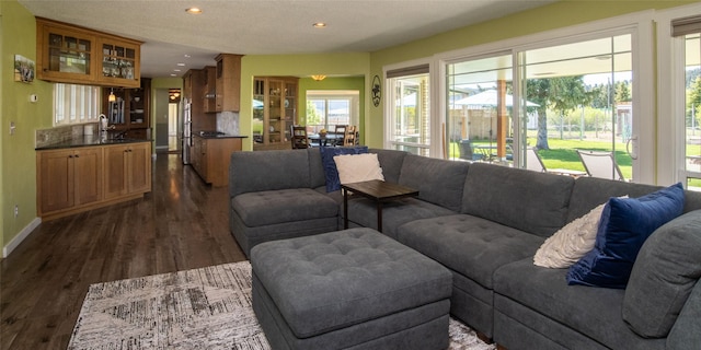345 Ash Dr, Butte, MT 59701 - living area with dark wood-style flooring, baseboards, and recessed lighting