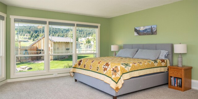 345 Ash Dr, Butte, MT 59701 - bedroom featuring access to outside, carpet flooring, and a mountain view