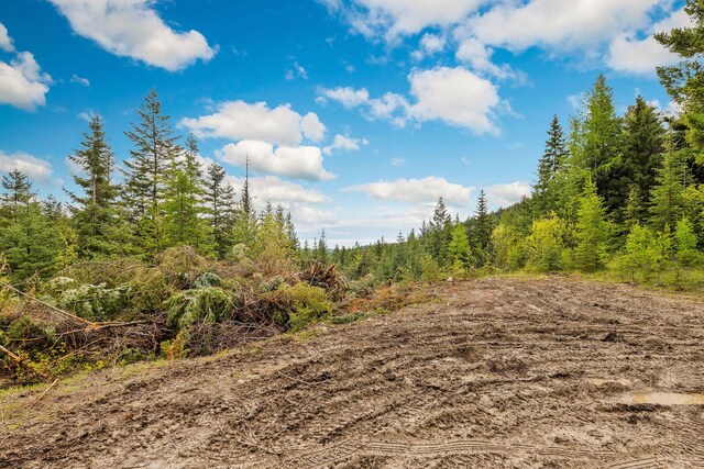 1520 Bierney Creek Rd, Lakeside, MT 59922