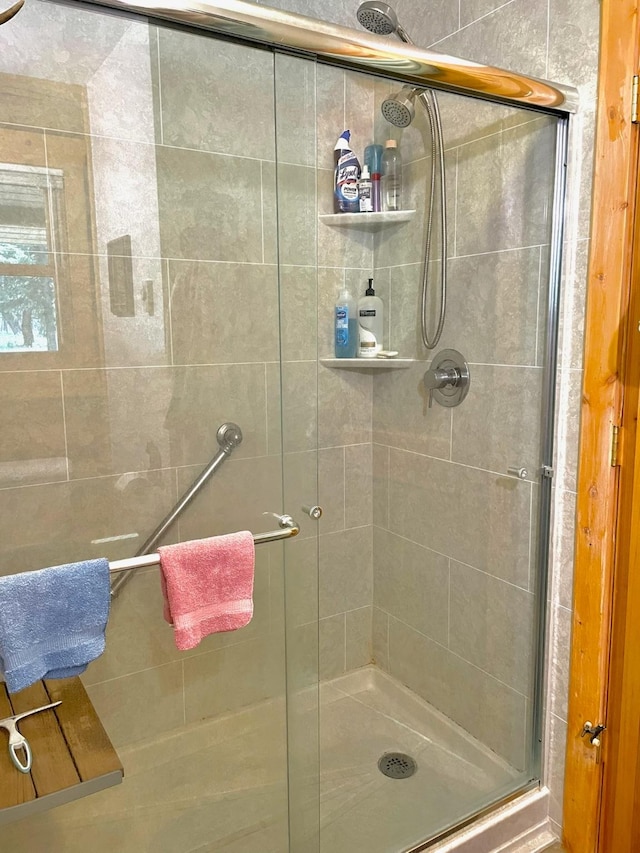 30 Williams Gulch Loop, Philipsburg, MT 59858 - full bath with a stall shower