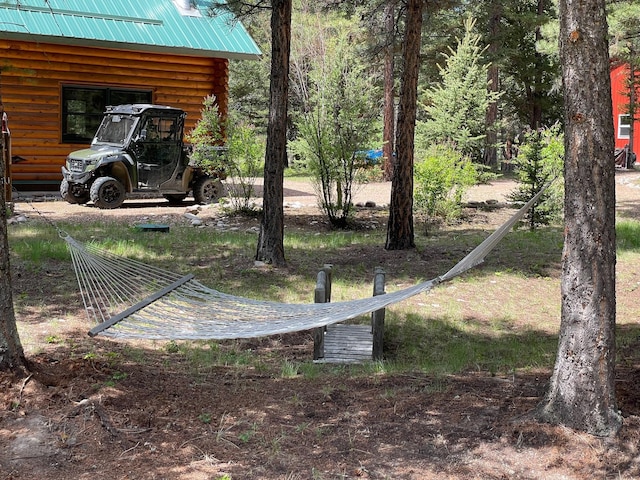 30 Williams Gulch Loop, Philipsburg, MT 59858 - view of yard