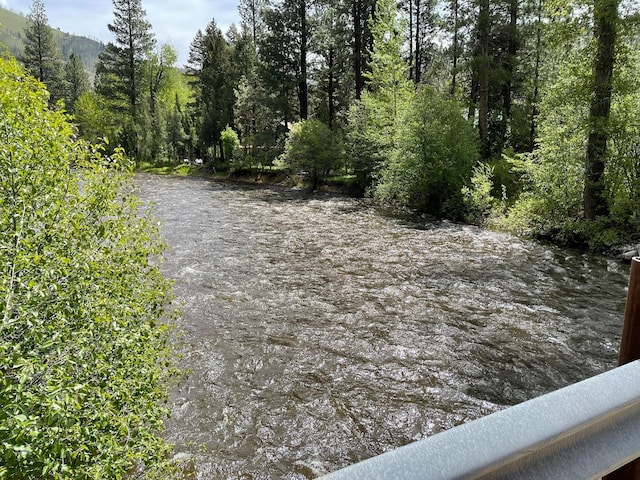 30 Williams Gulch Loop, Philipsburg, MT 59858 - water view featuring a heavily wooded area