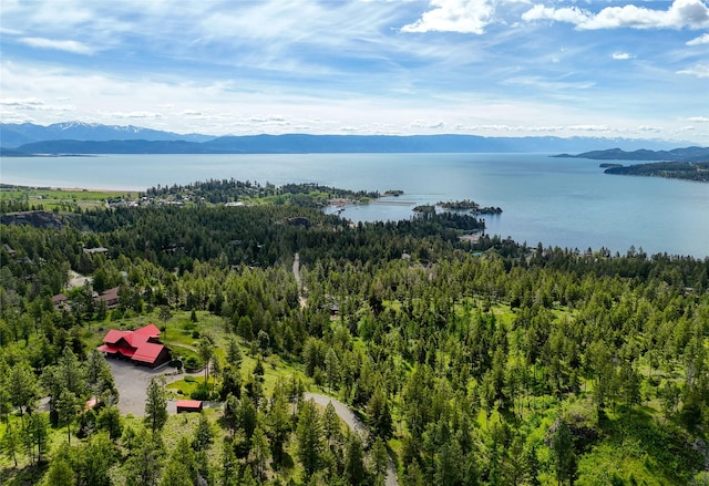 251 S Eighty Dr, Somers, MT 59932 - bird's eye view of a forest and a water and mountain view