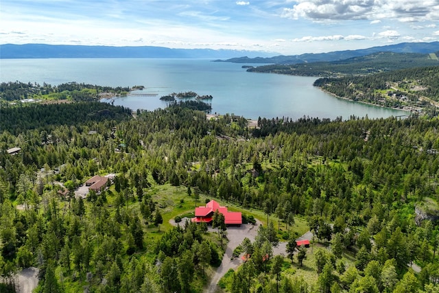 251 S Eighty Dr, Somers, MT 59932 - aerial overview of property's location featuring a heavily wooded area and a water and mountain view