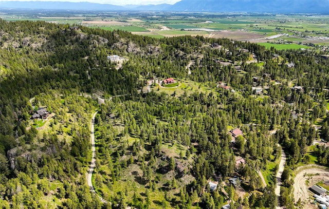 251 S Eighty Dr, Somers, MT 59932 - aerial overview of property's location featuring a forest and a mountain backdrop