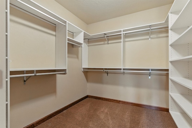1112 Anglers Bend Way, Missoula, MT 59802 - spacious closet featuring carpet