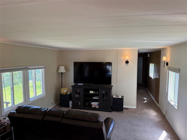 991 Phillips Rd, Helena, MT 59602 - carpeted living room featuring healthy amount of natural light and crown molding