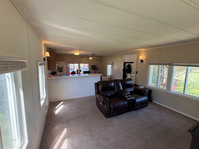 991 Phillips Rd, Helena, MT 59602 - carpeted living room featuring a ceiling fan