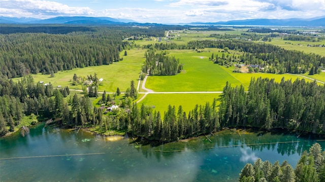 221 Kauffman Ln, Kalispell, MT 59901 - drone / aerial view of a water and mountain view