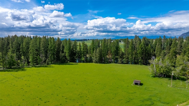 221 Kauffman Ln, Kalispell, MT 59901 - bird's eye view of a mountainous background