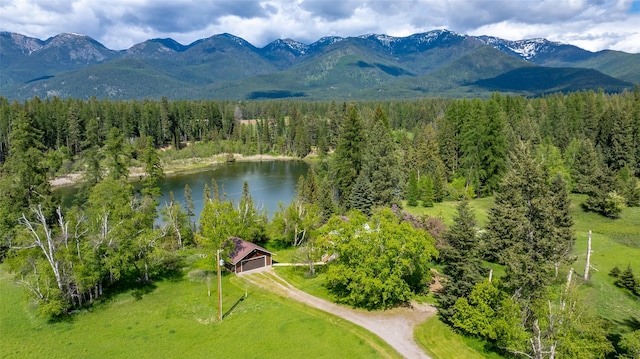 221 Kauffman Ln, Kalispell, MT 59901 - bird's eye view of a water and mountain view and a forest