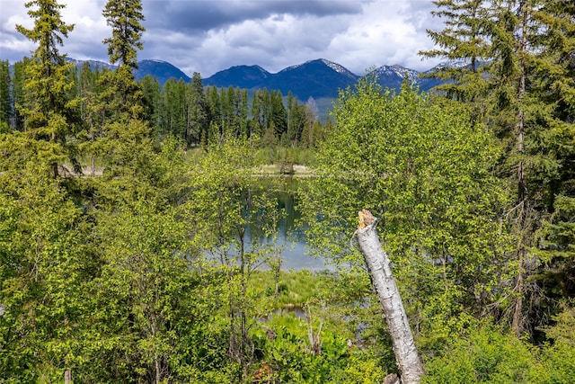 221 Kauffman Ln, Kalispell, MT 59901 - mountain view featuring a forest