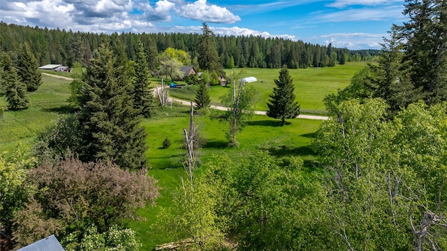 221 Kauffman Ln, Kalispell, MT 59901 - bird's eye view of a heavily wooded area