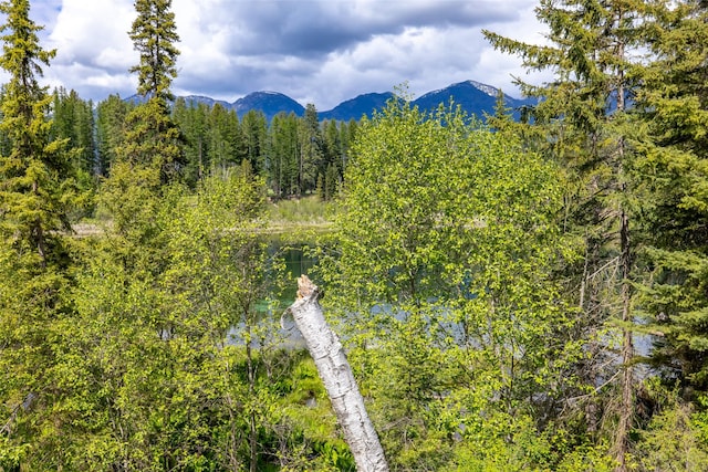 221 Kauffman Ln, Kalispell, MT 59901 - mountain view featuring a forest