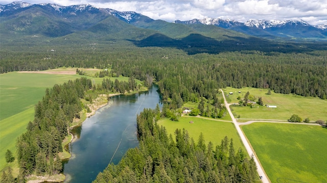 221 Kauffman Ln, Kalispell, MT 59901 - drone / aerial view of a forest and a water and mountain view