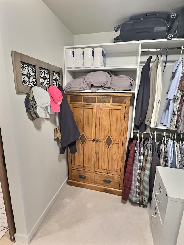 100 Woodlands Way Unit W-204, Kalispell, MT 59901 - walk in closet featuring light carpet