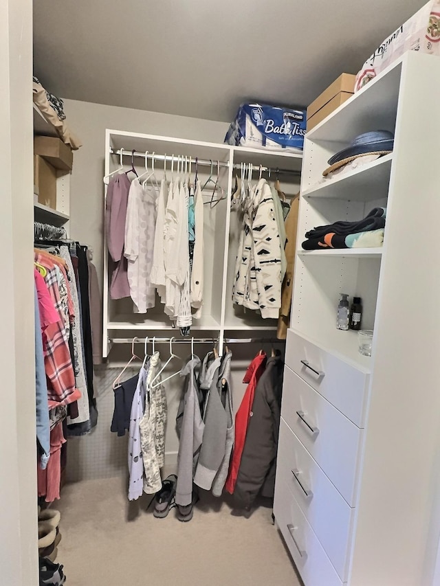 100 Woodlands Way Unit W-204, Kalispell, MT 59901 - view of spacious closet