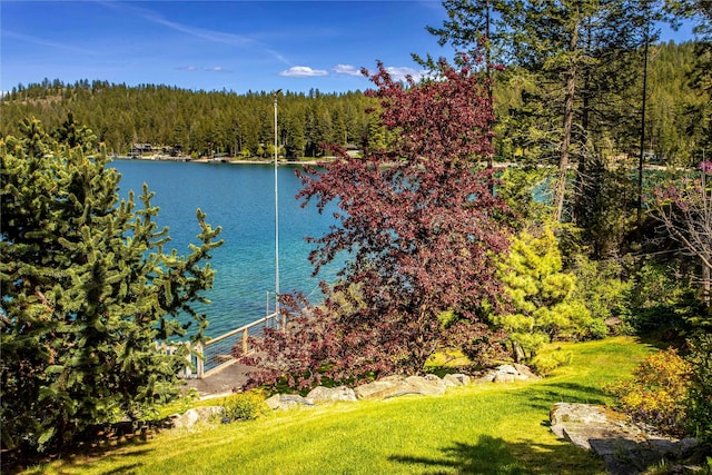 29137 Rocky Point Rd, Polson, MT 59860 - water view featuring a heavily wooded area