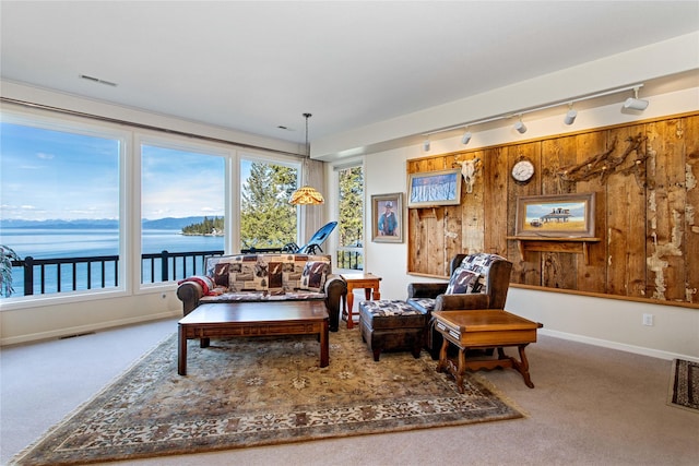 29137 Rocky Point Rd, Polson, MT 59860 - living area with carpet floors, a water view, rail lighting, baseboards, and wooden walls