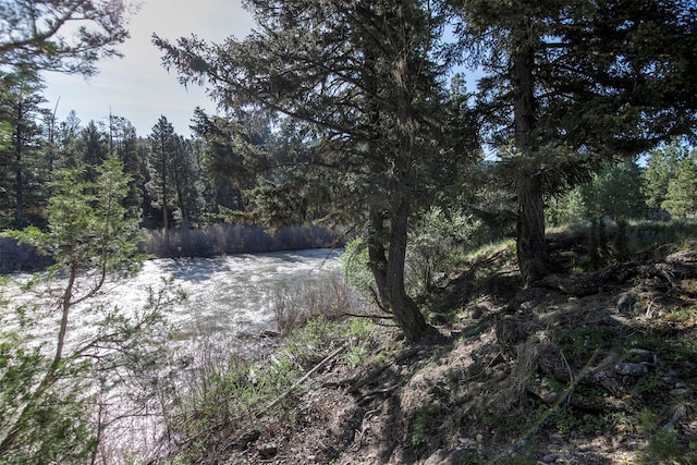 15530 S Sperry Grade Rd, Greenough, MT 59823 - view of woods