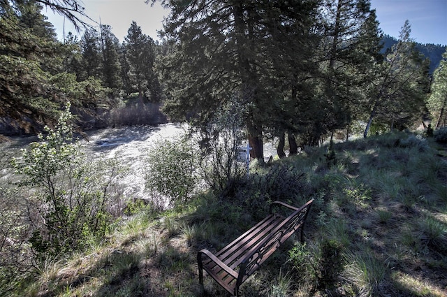 15530 S Sperry Grade Rd, Greenough, MT 59823 - view of yard featuring a view of trees