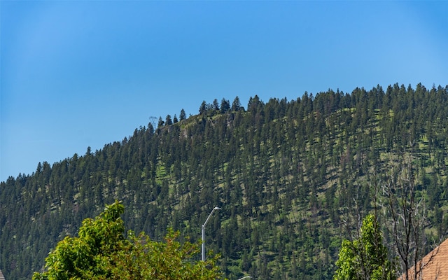 2216 Ruddy Duck Dr, Kalispell, MT 59901 - mountain view with a forest