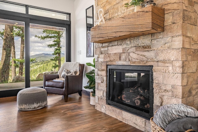 77 Rumsey Rd, Philipsburg, MT 59858 - living room featuring a fireplace and wood finished floors