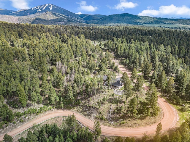 77 Rumsey Rd, Philipsburg, MT 59858 - view of property location with a forest and a mountain backdrop