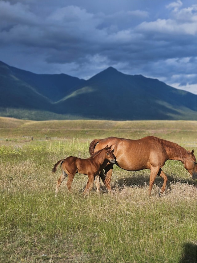 2571 Airport Rd, Eureka, MT 59917 - view of mountain backdrop