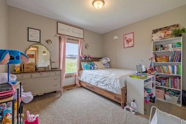 2320 Kenai Rd, Helena, MT 59602 - view of carpeted bedroom
