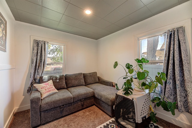 1202 Walnut St, Helena, MT 59601 - living area featuring ornamental molding, carpet, and baseboards