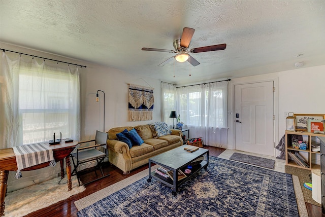 1202 Walnut St, Helena, MT 59601 - living room with healthy amount of natural light, a ceiling fan, a textured ceiling, and wood finished floors