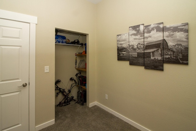 111 Lupfer Loop Rd, Olney, MT 59927 - corridor with dark carpet and baseboards
