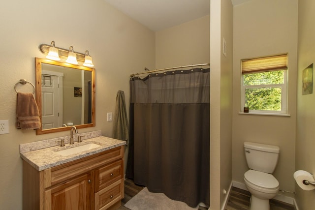 111 Lupfer Loop Rd, Olney, MT 59927 - bathroom featuring vanity, wood finished floors, toilet, and curtained shower
