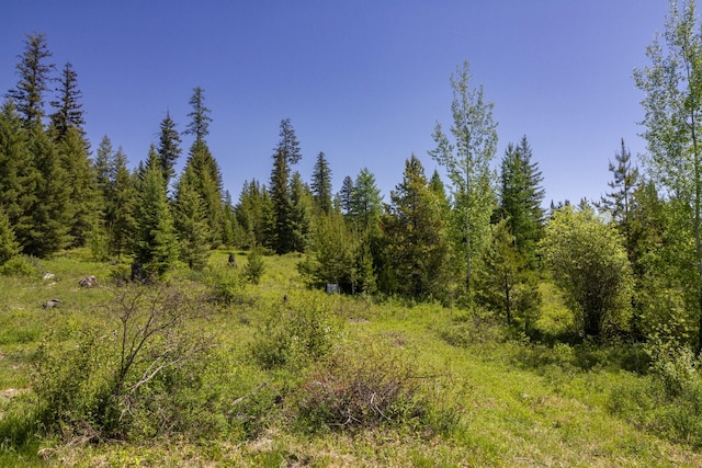 111 Lupfer Loop Rd, Olney, MT 59927 - view of woods