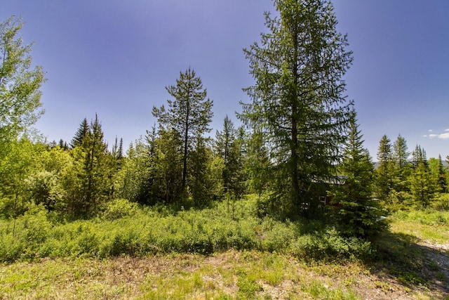 111 Lupfer Loop Rd, Olney, MT 59927 - view of tree filled area