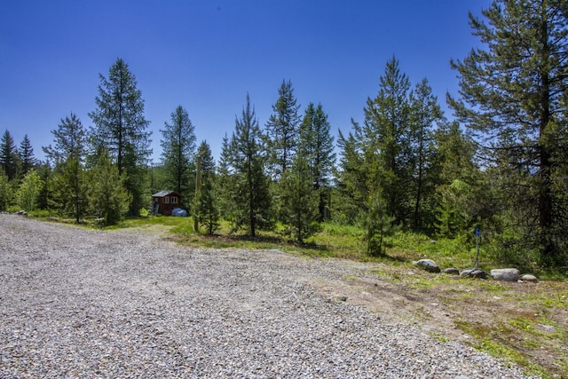 111 Lupfer Loop Rd, Olney, MT 59927 - view of street with a forest view