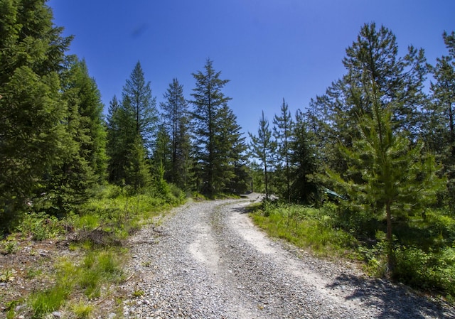 111 Lupfer Loop Rd, Olney, MT 59927 - view of road featuring a wooded view