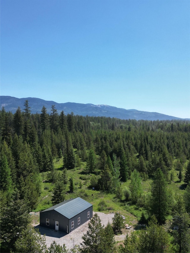 111 Lupfer Loop Rd, Olney, MT 59927 - view of mountain background with a forest