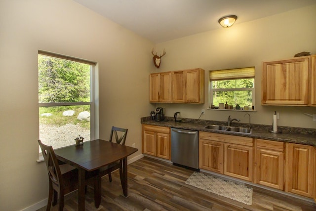 111 Lupfer Loop Rd, Olney, MT 59927 - kitchen featuring stainless steel dishwasher, a sink, plenty of natural light, and dark countertops