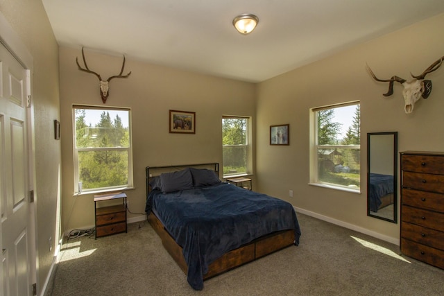 111 Lupfer Loop Rd, Olney, MT 59927 - carpeted bedroom with baseboards