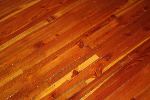 285 Metzner Dr, Trego, MT 59934 - detailed view of wood finished floors