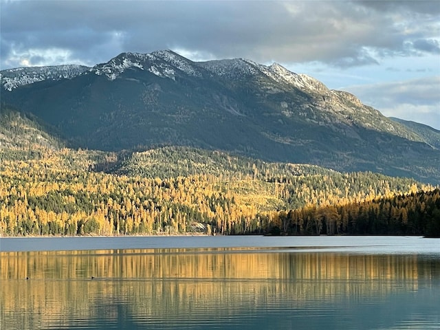 285 Metzner Dr, Trego, MT 59934 - view of mountain backdrop featuring a forest and a large body of water