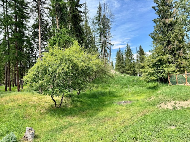 172 Garden Rd, Libby, MT 59923 - view of undeveloped land