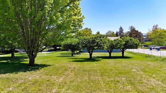 906 11th St E, Polson, MT 59860 - view of yard