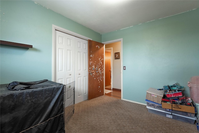 1125 Choteau St, Helena, MT 59601 - carpeted bedroom with a closet