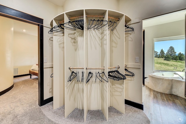 162 Jackson Creek Rd, Montana City, MT 59634 - walk in closet featuring carpet flooring