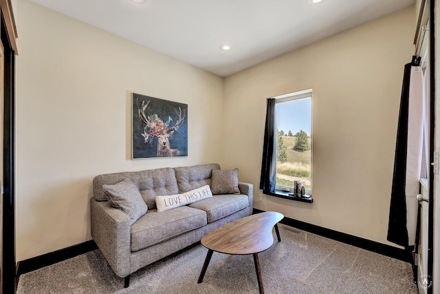 162 Jackson Creek Rd, Montana City, MT 59634 - living room featuring baseboards, recessed lighting, and carpet