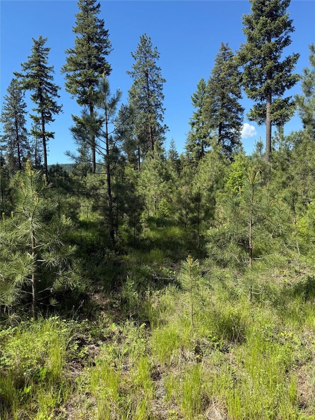 48 Silvertip Way, Troy, MT 59935