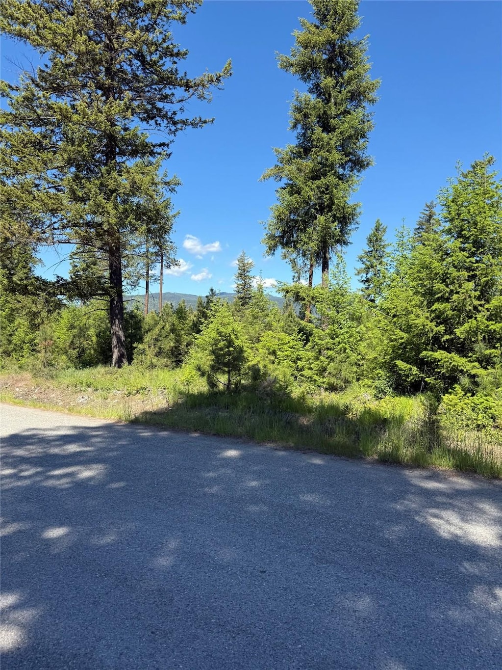 48 Silvertip Way, Troy, MT 59935